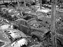 Autofriedhof - 080